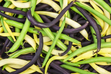 Abstract background: mix of green, yellow and black wax beans clipart