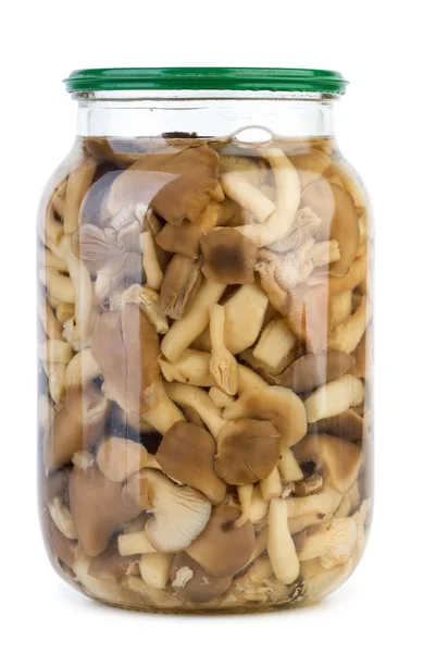 Glass jar with marinated honey agarics — Stock Photo, Image