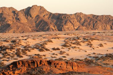 Namib desert clipart