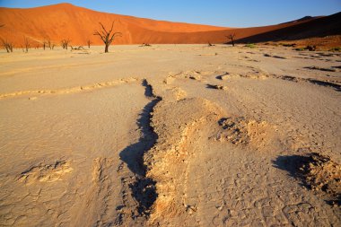 Sossusvlei landscape clipart