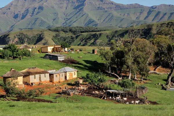 Landelijke nederzetting en vee — Stockfoto