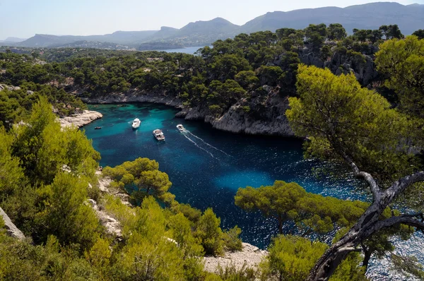 Calanques of Port Pin in Cassis in France — Stock Photo, Image