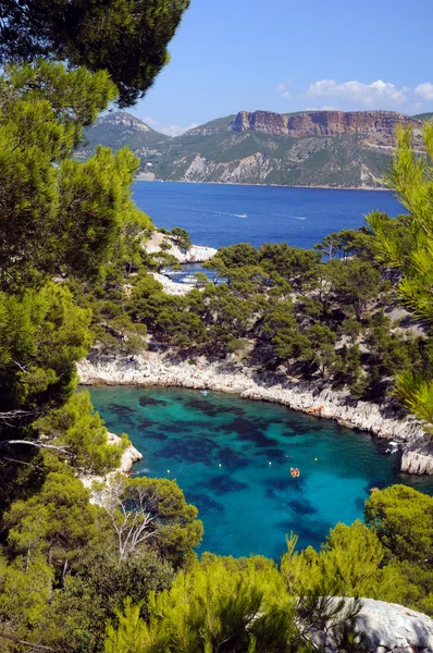 Calanques of Port Pin in Cassis in France — Stock Photo, Image