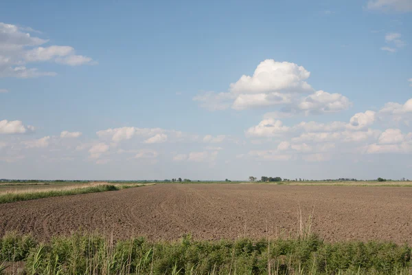 A plowed field — Stock Photo, Image