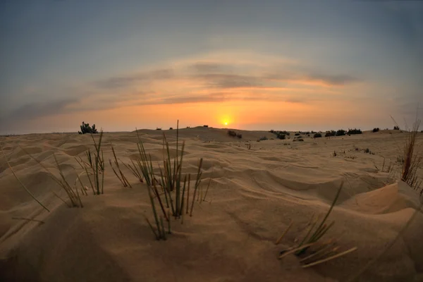 stock image Beautiful sunset in desert