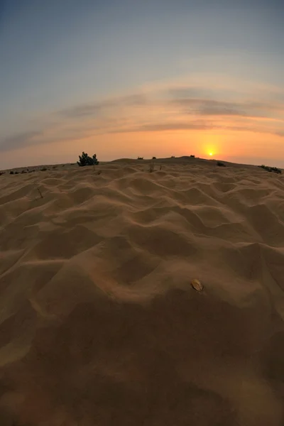 Hermosa puesta de sol en el desierto — Foto de Stock