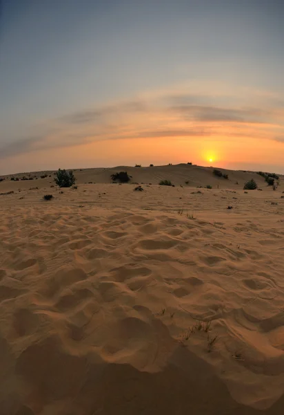 Piękny zachód słońca na pustyni — Zdjęcie stockowe