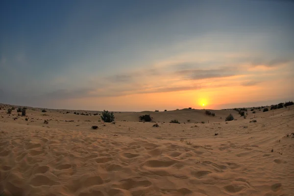 在沙漠中美丽的夕阳 — 图库照片
