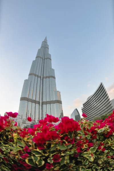 Дубай хмарочоса Бурдж Халіфа — стокове фото