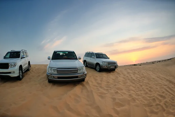 Veículos de safári no deserto — Fotografia de Stock