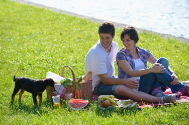 Happy young couple having a picnic outdoor