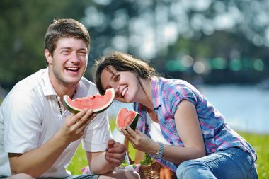 Happy young couple having a picnic outdoor