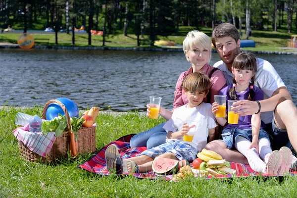 在野餐户外玩在一起的幸福家庭 — 图库照片