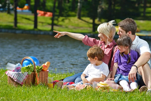 Família feliz brincando juntos em um piquenique ao ar livre — Fotografia de Stock