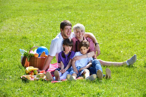 Щаслива сім'я грає разом на пікніку на відкритому повітрі — стокове фото