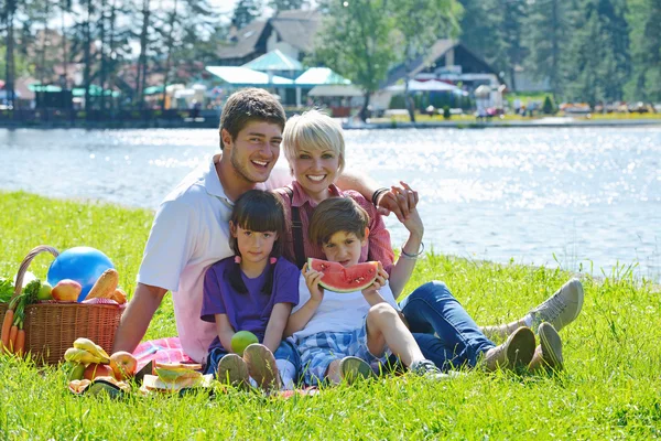 Щаслива сім'я грає разом на пікніку на відкритому повітрі — стокове фото