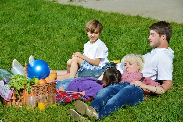 Ευτυχισμένη οικογένεια, παίζοντας σε μια υπαίθρια πικ-νικ — Φωτογραφία Αρχείου