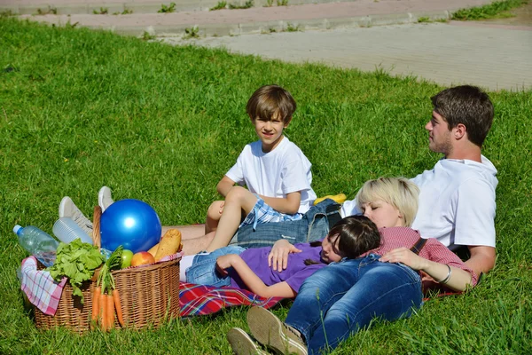 Boldog család játszik együtt, egy piknik a szabadban — Stock Fotó