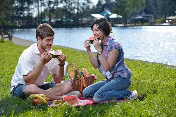 Glad unge par har en picnic udendørs - Stock-foto