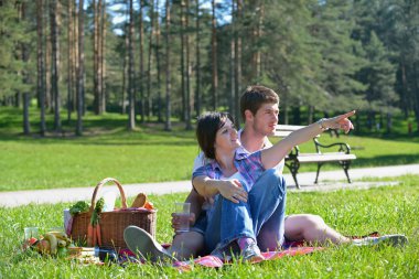 Happy young couple having a picnic outdoor