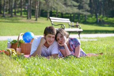 Happy young couple having a picnic outdoor