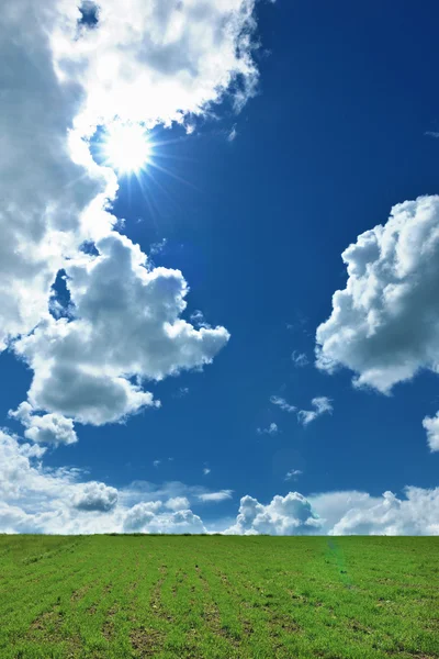 Trawa i niebo backgrond charakter — Zdjęcie stockowe