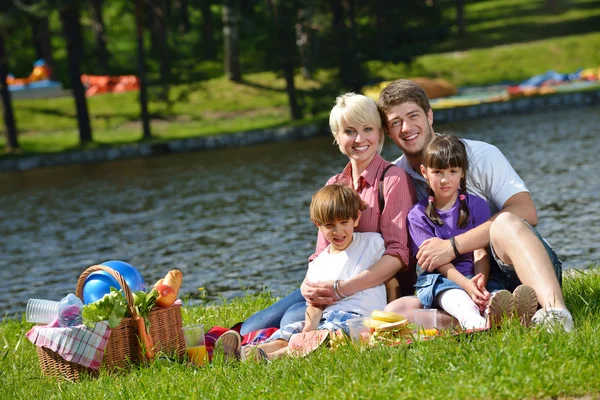 Boldog család játszik együtt, egy piknik a szabadban — Stock Fotó