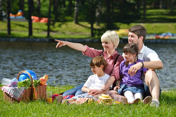 屋外のピクニックで一緒に遊んで幸せな家族 — ストック写真