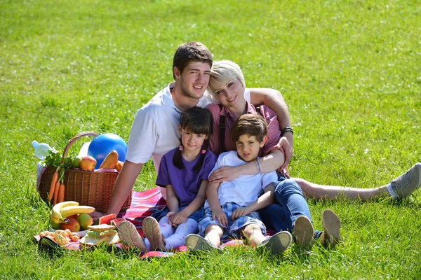 Счастливая семья играет вместе на пикнике на открытом воздухе — стоковое фото