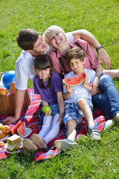 屋外のピクニックで一緒に遊んで幸せな家族 — ストック写真