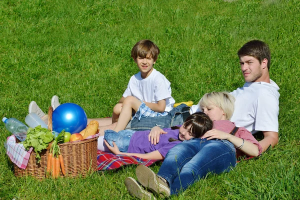 행복 한 가족 피크닉 야외에서 함께 연주 — 스톡 사진
