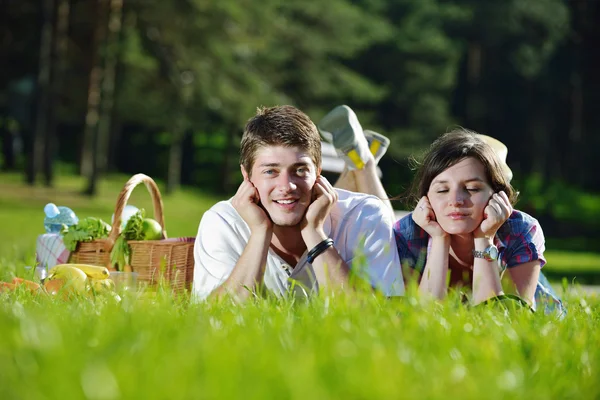 屋外のピクニックを持っている幸せな若いカップル — ストック写真