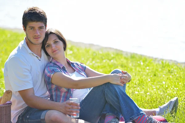 快乐的年轻夫妇在户外野餐 图库图片