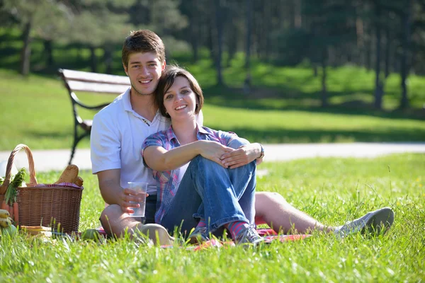 快乐的年轻夫妇在户外野餐 图库照片