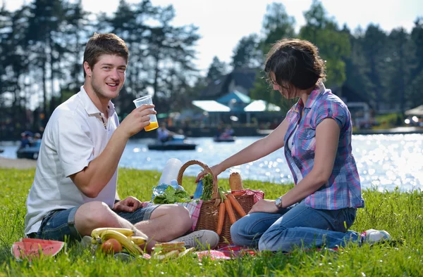 Happy young couple having a picnic outdoor Royalty Free Stock Photos