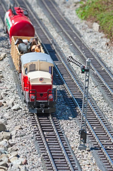 Minyatür tren — Stok fotoğraf