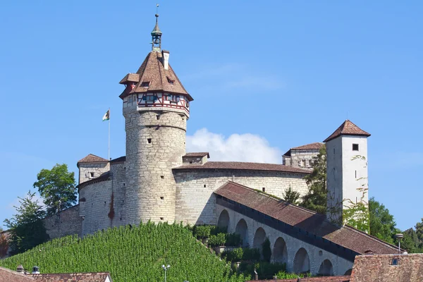 Stock image Summer in Schaffhausen