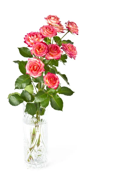 Boeket van prachtige rozen. — Stockfoto