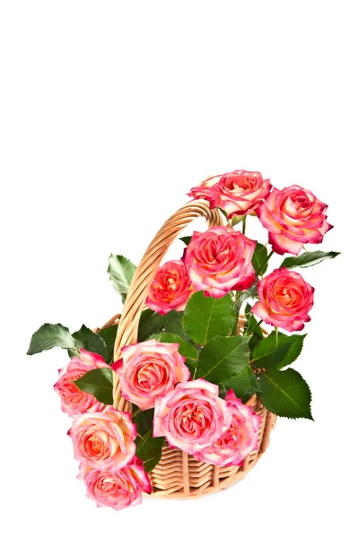 Róże w koszyku. — Zdjęcie stockowe