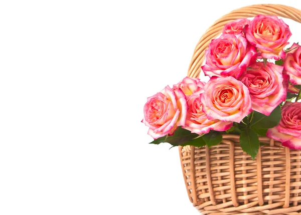 Rosas en una canasta. — Foto de Stock