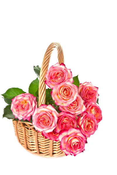 Rosas en una canasta. —  Fotos de Stock