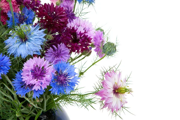 Bouquet of cornflowers. — Stock Photo, Image
