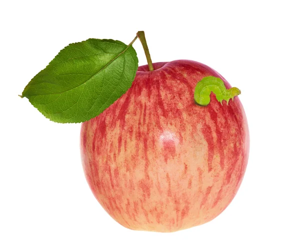 Manzana a rayas aislada con hoja —  Fotos de Stock