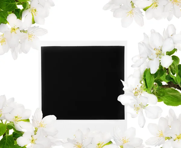 苹果树花框架中的空白黑卡 — 图库照片