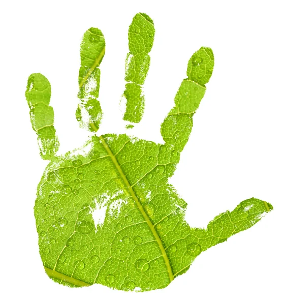 Handabdruck auf grünem Blattgrund — Stockfoto