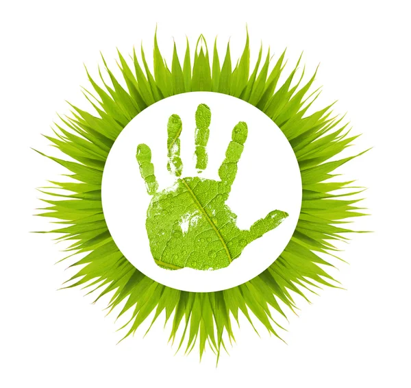 Amprentă de mână verde în cadru de iarbă — Fotografie, imagine de stoc