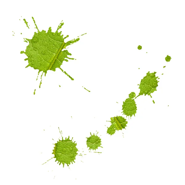 Blots on green leaf background — Stock Photo, Image