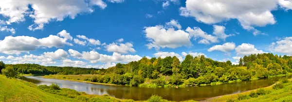 Панорама с рекой в лесу — стоковое фото