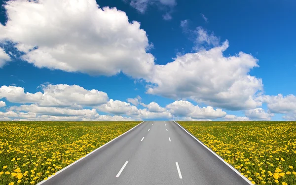 Landscape with road and yellow dandelions — Stock Photo, Image