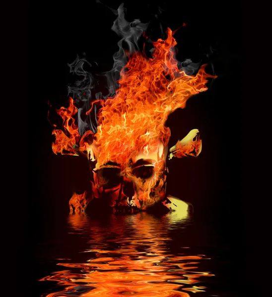 Skull in fire with reflection